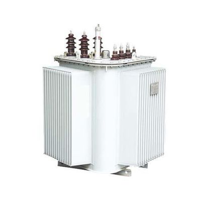 Trasformatore a bagno d'olio 10/0.4KV 30-1600KVA di S13 S14 LMR